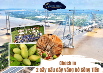 Du lịch Vĩnh Long – Check-in Hai Cây Cầu Dây Văng Nối Đôi Bờ Sông Tiền