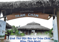 Trải Nghiệm Sinh Thái Độc Đáo tại Tràm Chim, Đồng Tháp Mười