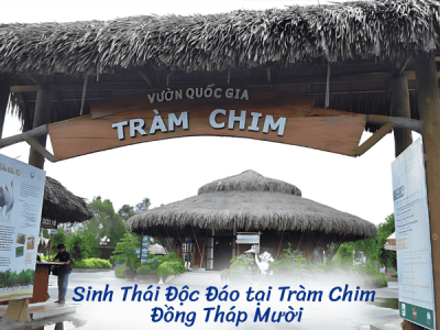 Trải Nghiệm Sinh Thái Độc Đáo tại Tràm Chim, Đồng Tháp Mười