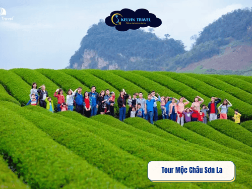 Cẩm nang du lịch Sơn – Trải Nghiệm Du Lịch Tây Bắc Đáng Nhớ