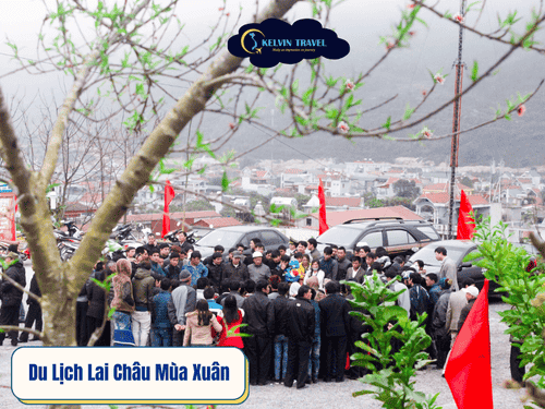 Du Lịch Lai Châu Mùa Nào Đẹp Nhất Khám Phá Vẻ Đẹp Núi Rừng Qua Từng Mùa