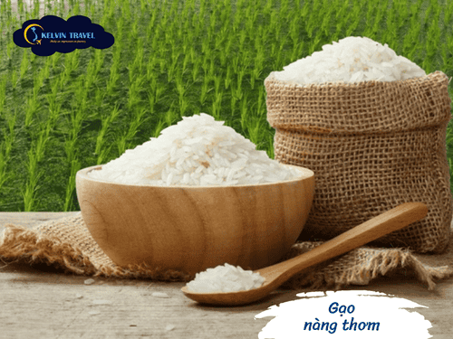 Du Lịch Long An, Điểm Đến Lý Tưởng Gần Sài Gòn