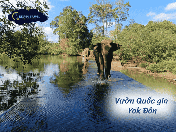 Du lịch Buôn Ma Thuột thì đi đâu