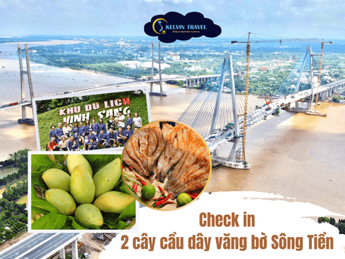 Du lịch Vĩnh Long – Check-in Hai Cây Cầu Dây Văng Nối Đôi Bờ Sông Tiền