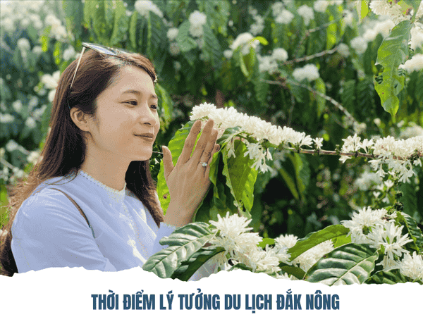 Tổng Hợp Kinh Nghiệm Du Lịch Đắk Nông