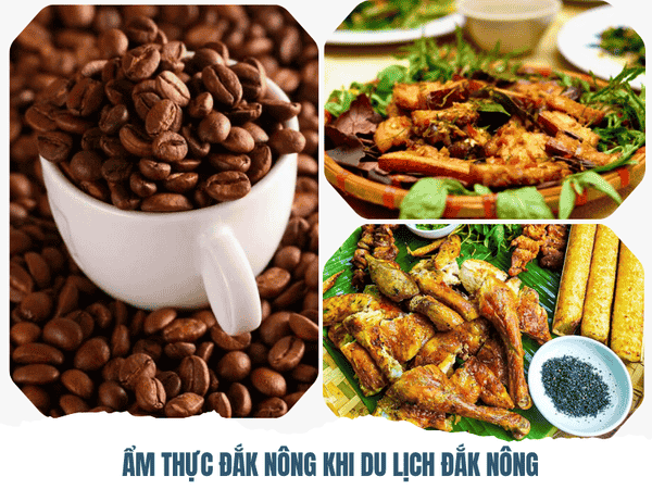 Tổng Hợp Kinh Nghiệm Du Lịch Đắk Nông