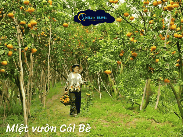 Top địa điểm du lịch Tiền Giang hút khách nhất năm 2025