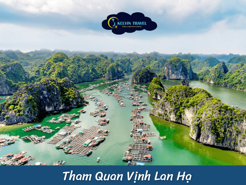 Top 10 Trải Nghiệm Không Thể Bỏ Lỡ Khi Đến Vịnh Hạ Long