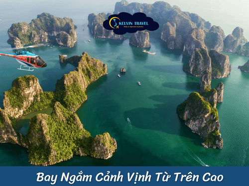 Top 10 Trải Nghiệm Không Thể Bỏ Lỡ Khi Đến Vịnh Hạ Long