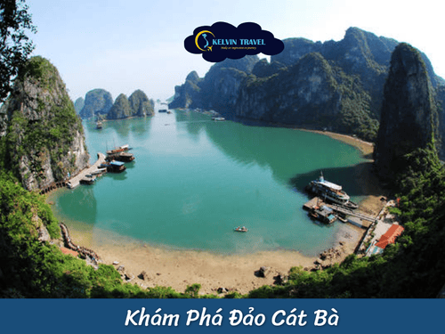 Top 10 Trải Nghiệm Không Thể Bỏ Lỡ Khi Đến Vịnh Hạ Long