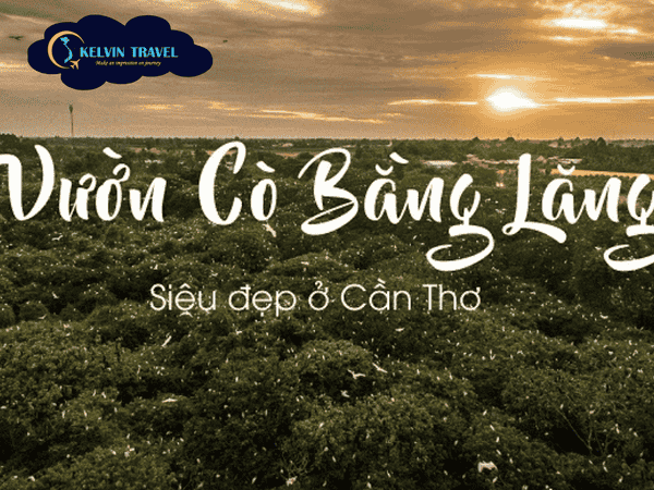Top 6 Địa Điểm Du Lịch Cần Thơ