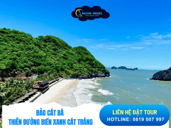 Top 9 Địa Điểm Du Lịch Hải Phòng Đẹp Và Nổi Tiếng Nhất 2025