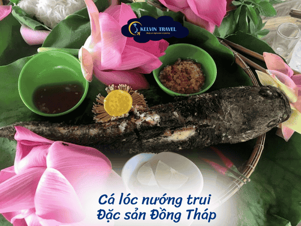 Trải Nghiệm Sinh Thái Độc Đáo tại Tràm Chim, Đồng Tháp Mười