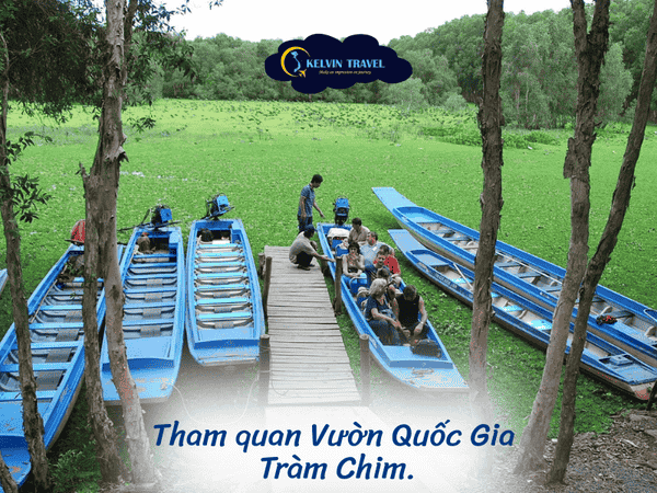 Trải Nghiệm Sinh Thái Độc Đáo tại Tràm Chim, Đồng Tháp Mười