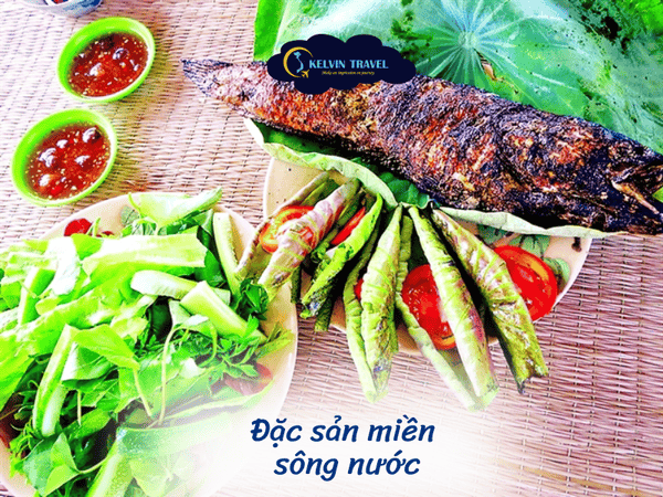 Trải Nghiệm Sinh Thái Độc Đáo tại Tràm Chim, Đồng Tháp Mười